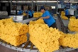 Xuất khẩu cao su, cà phê đồng loạt sụt giảm